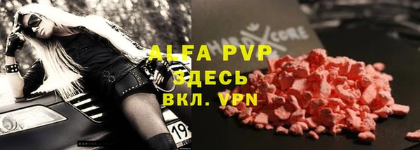 индика Армянск