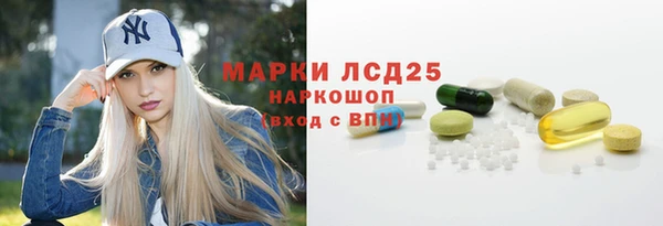 индика Армянск