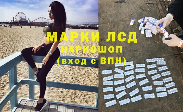 индика Армянск