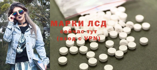 индика Армянск