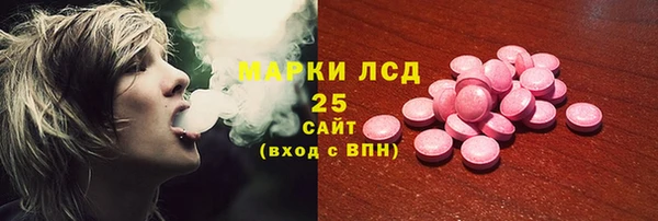 индика Армянск